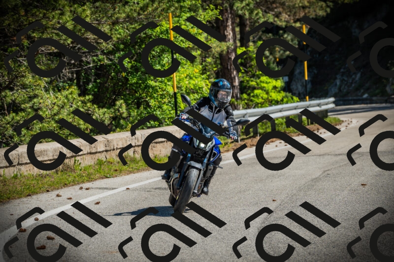 202506021031-DSC02845_c1_