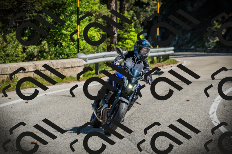 202506021031-DSC02846_c1_