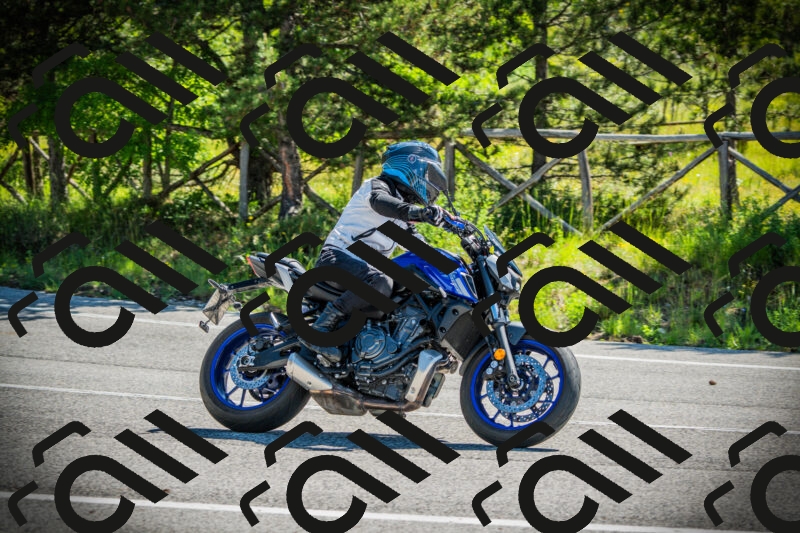 202506021031-DSC02847_c1_