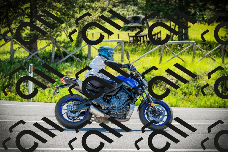 202506021031-DSC02848_c1_