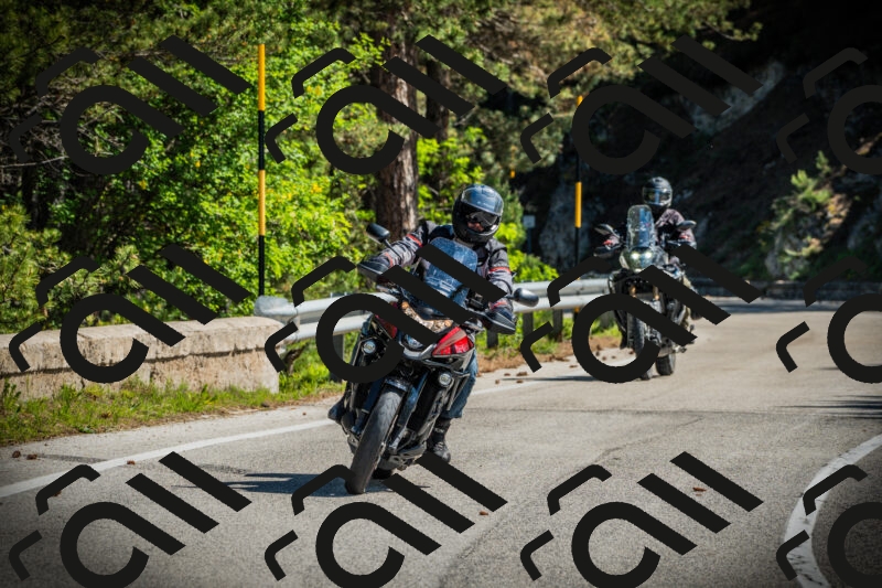 202506021031-DSC02850_c1_