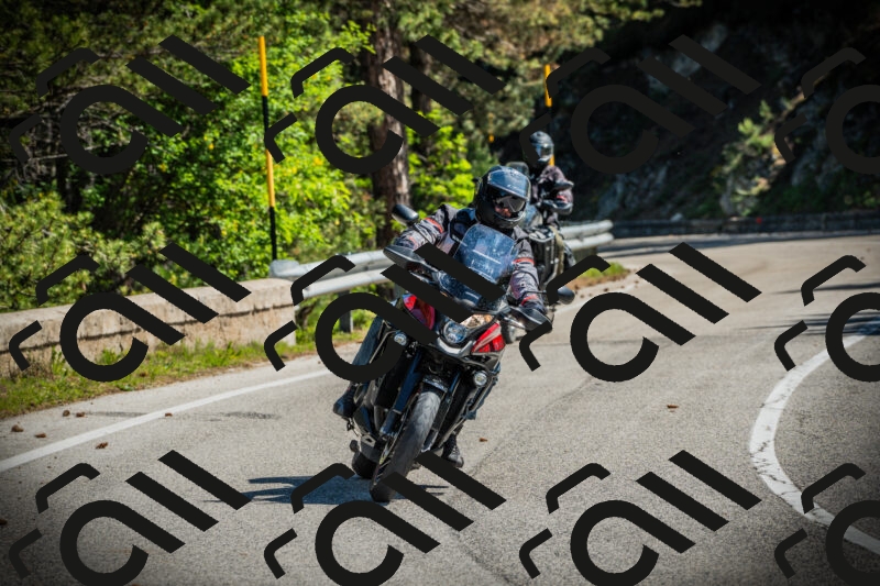 202506021031-DSC02851_c1_