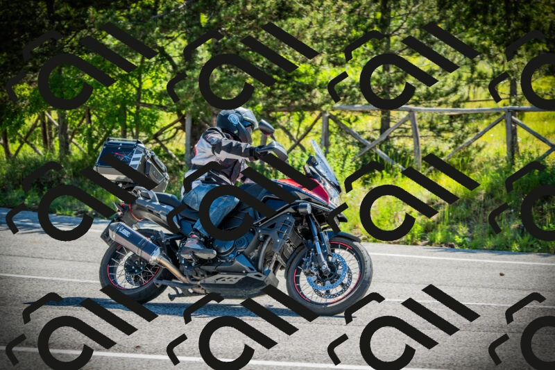 202506021031-DSC02853_c1_