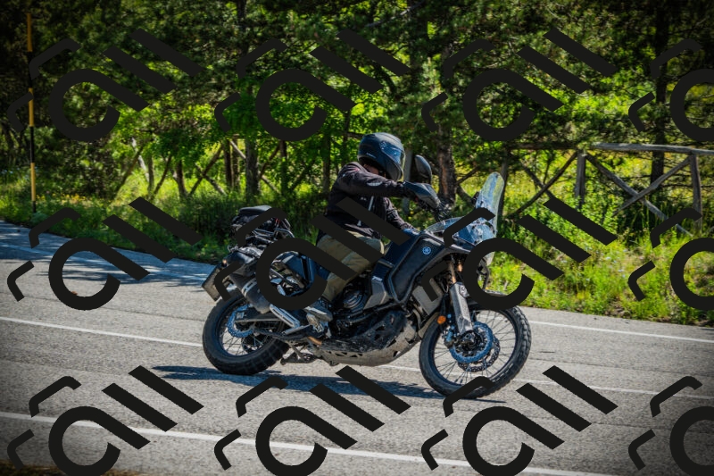 202506021031-DSC02854_c1_