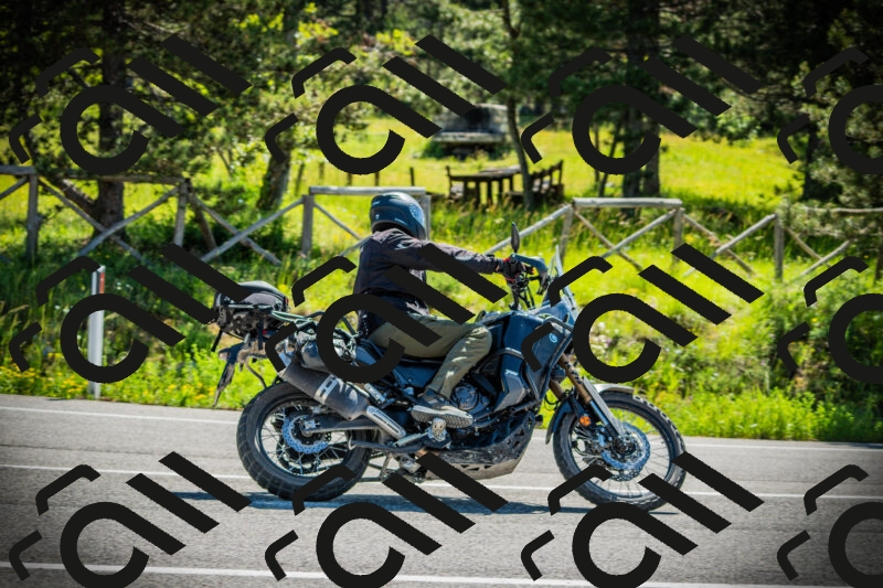 202506021031-DSC02855_c1_