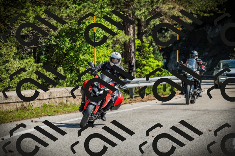 202506021031-DSC02857_c1_