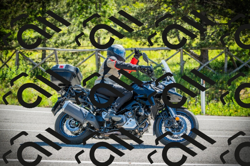 202506021031-DSC02862_c1_