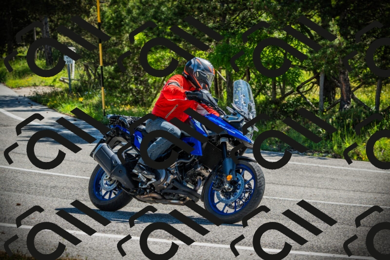 202506021031-DSC02864_c1_