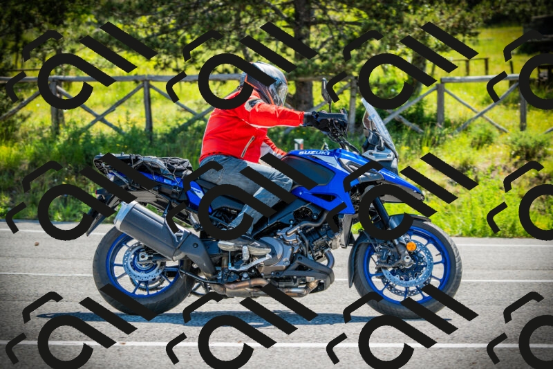 202506021031-DSC02865_c1_