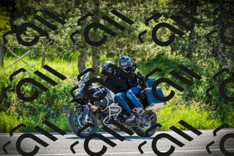 202506021032-DSC02874_c1_