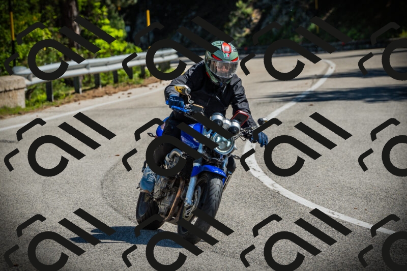 202506021032-DSC02877_c1_