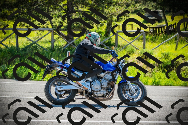 202506021032-DSC02879_c1_