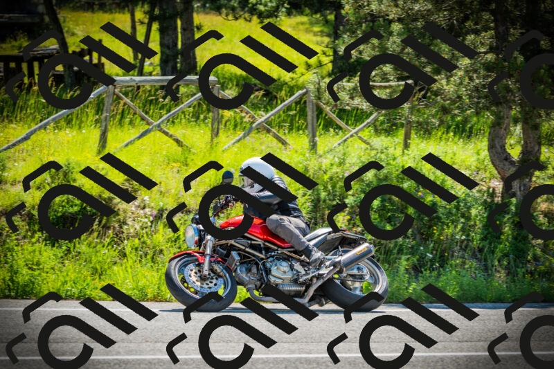 202506021032-DSC02880_c1_