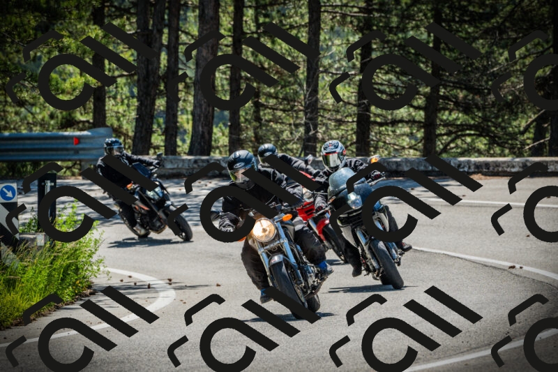 202506021033-DSC02885_c1_