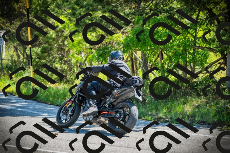 202506021033-DSC02893_c1_