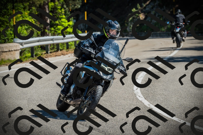 202506021033-DSC02895_c1_