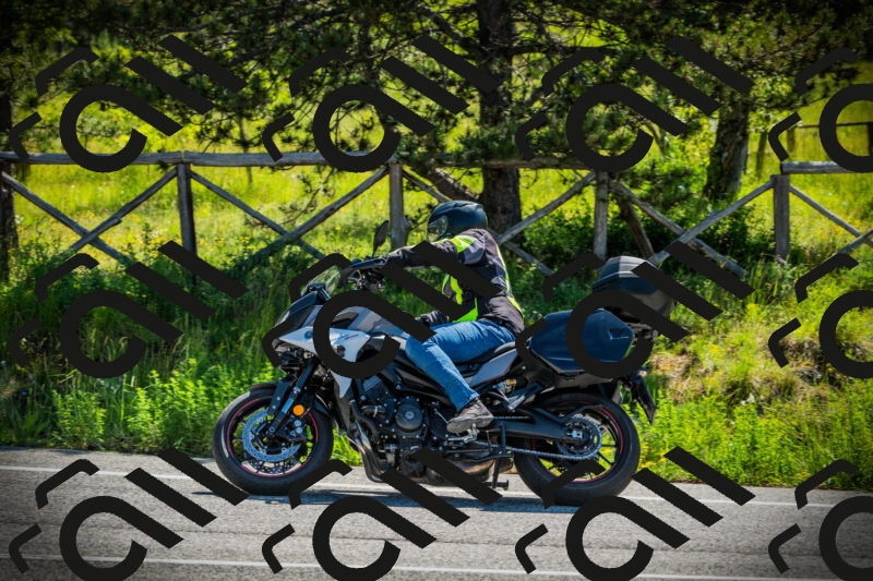 202506021034-DSC02904_c1_