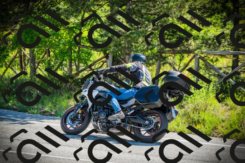 202506021034-DSC02905_c1_