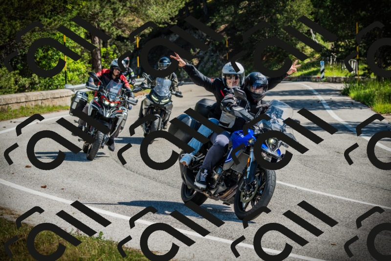 202506021034-DSC02910_c1_