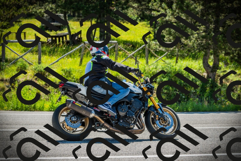 202506021034-DSC02915_c1_