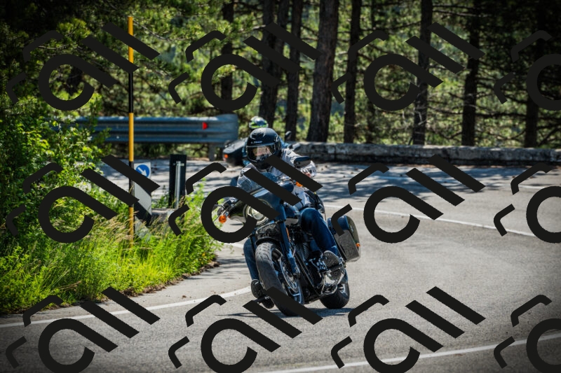 202506021035-DSC02918_c1_