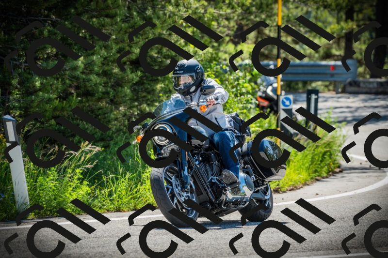 202506021035-DSC02919_c1_