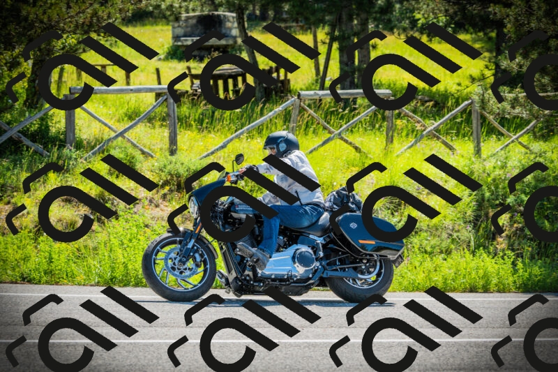 202506021035-DSC02920_c1_