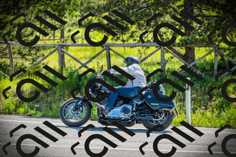 202506021035-DSC02921_c1_