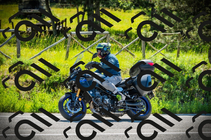 202506021035-DSC02923_c1_