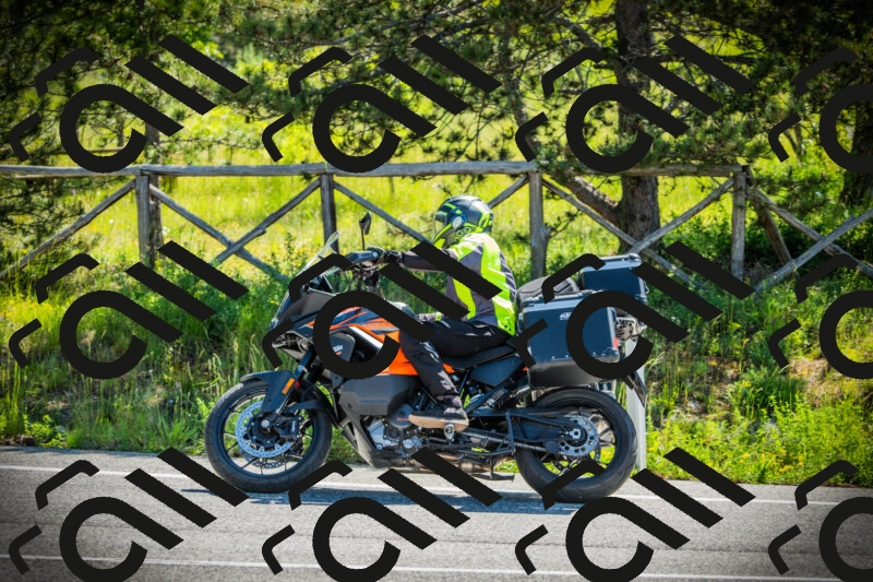 202506021035-DSC02925_c1_