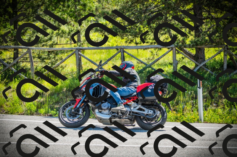 202506021035-DSC02928_c1_