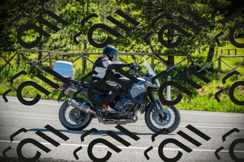 202506021036-DSC02940_c1_