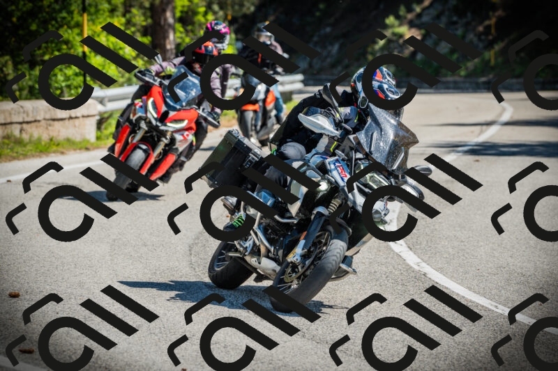 202506021038-DSC02948_c1_