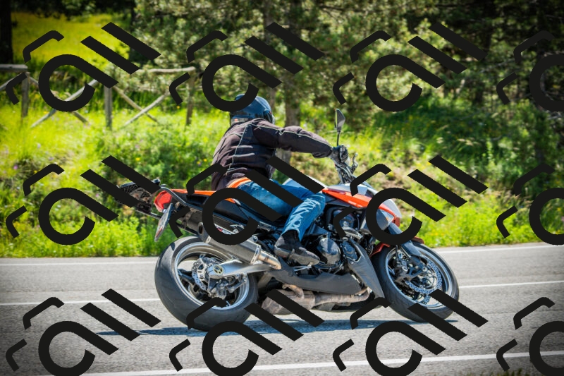 202506021038-DSC02954_c1_