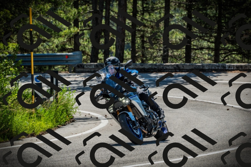 202506021038-DSC02956_c1_