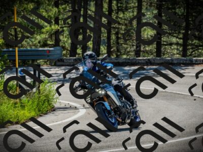 202506021038-DSC02956_c1_