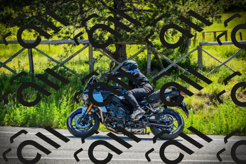 202506021038-DSC02958_c1_