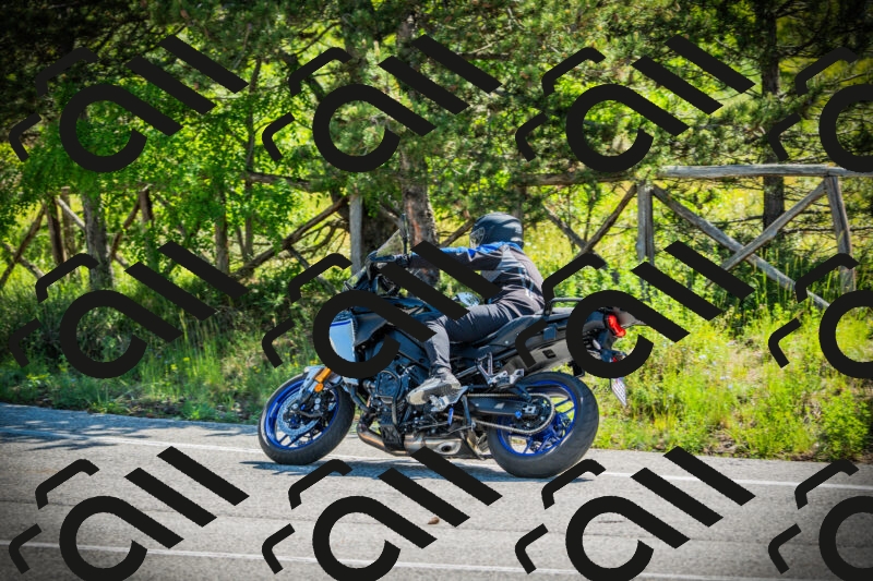 202506021038-DSC02959_c1_