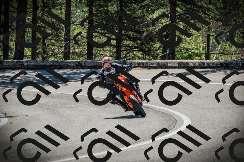 202506021038-DSC02961_c1_