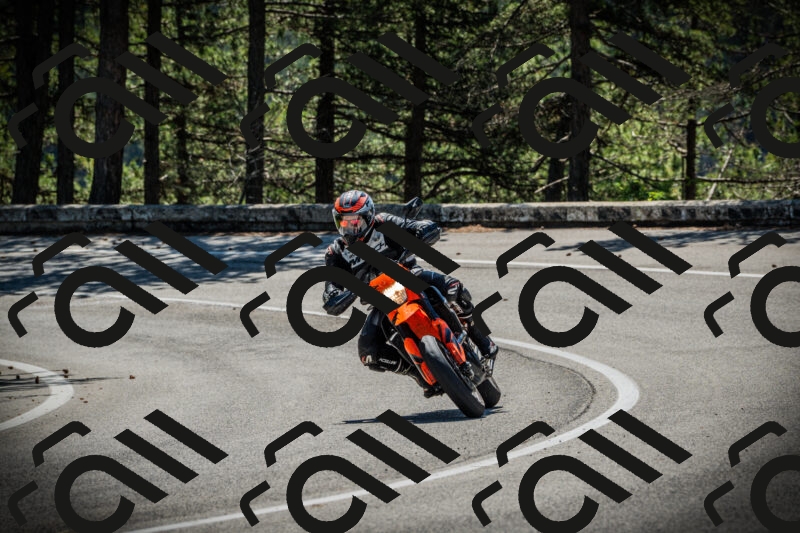 202506021038-DSC02962_c1_