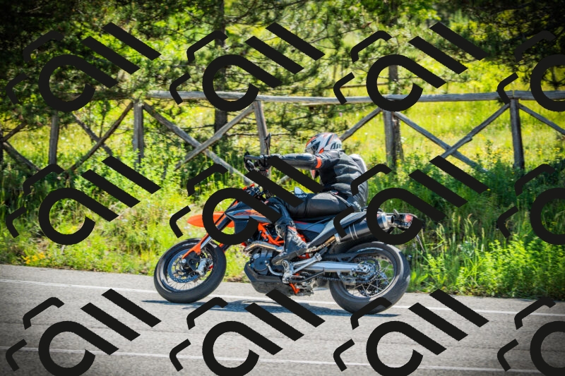 202506021038-DSC02965_c1_