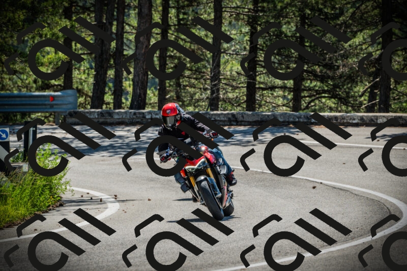 202506021039-DSC02967_c1_