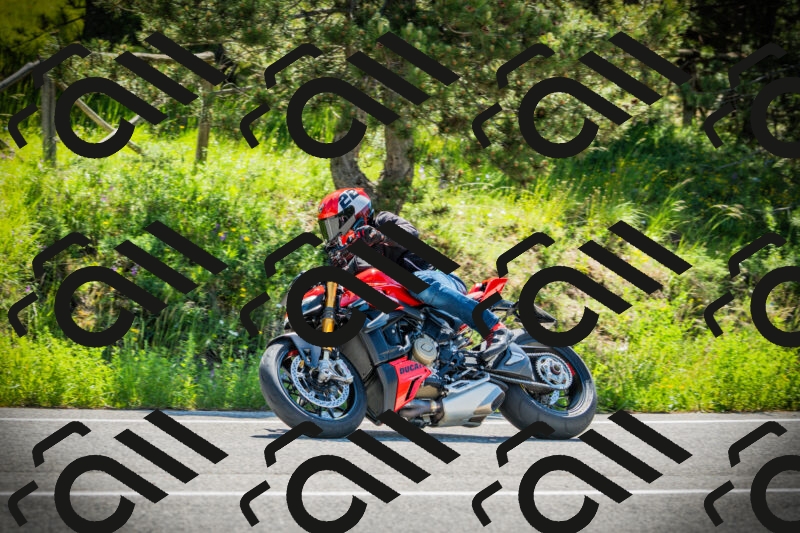 202506021039-DSC02969_c1_