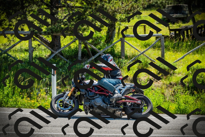 202506021039-DSC02970_c1_