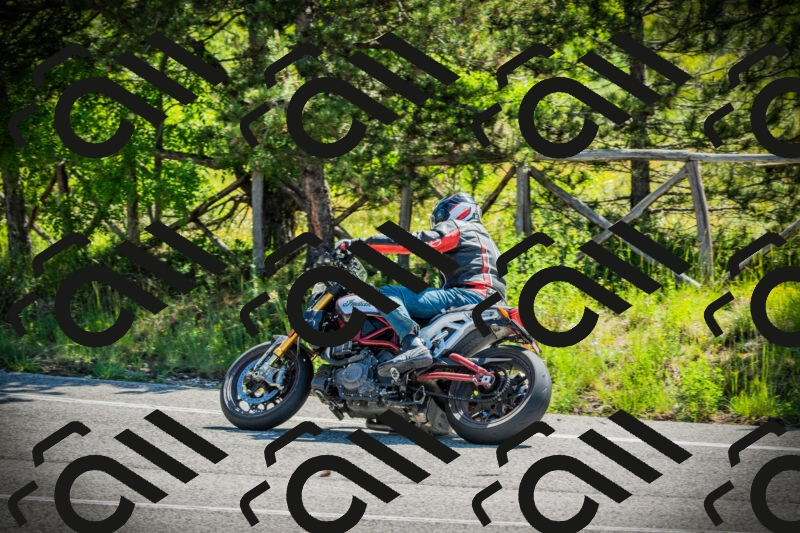 202506021039-DSC02971_c1_