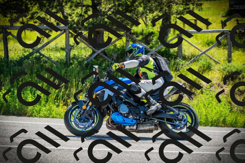 202506021039-DSC02977_c1_