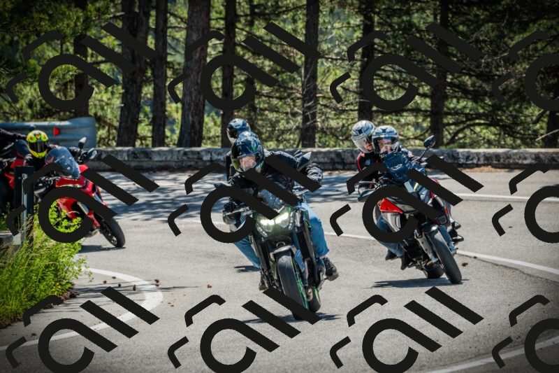 202506021040-DSC02980_c1_