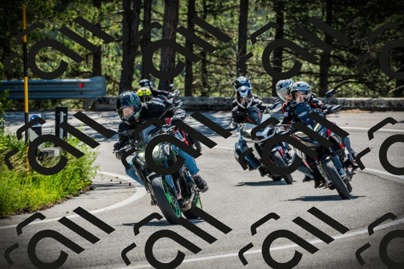 202506021040-DSC02981_c1_