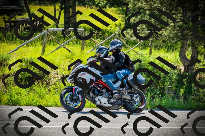 202506021040-DSC02985_c1_