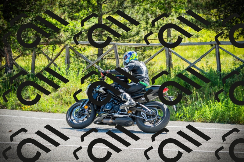 202506021040-DSC02994_c1_